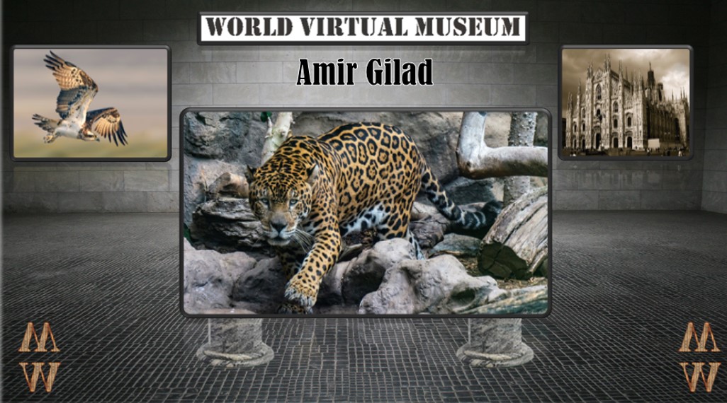 AMIR GILAD ARTIST PAGE