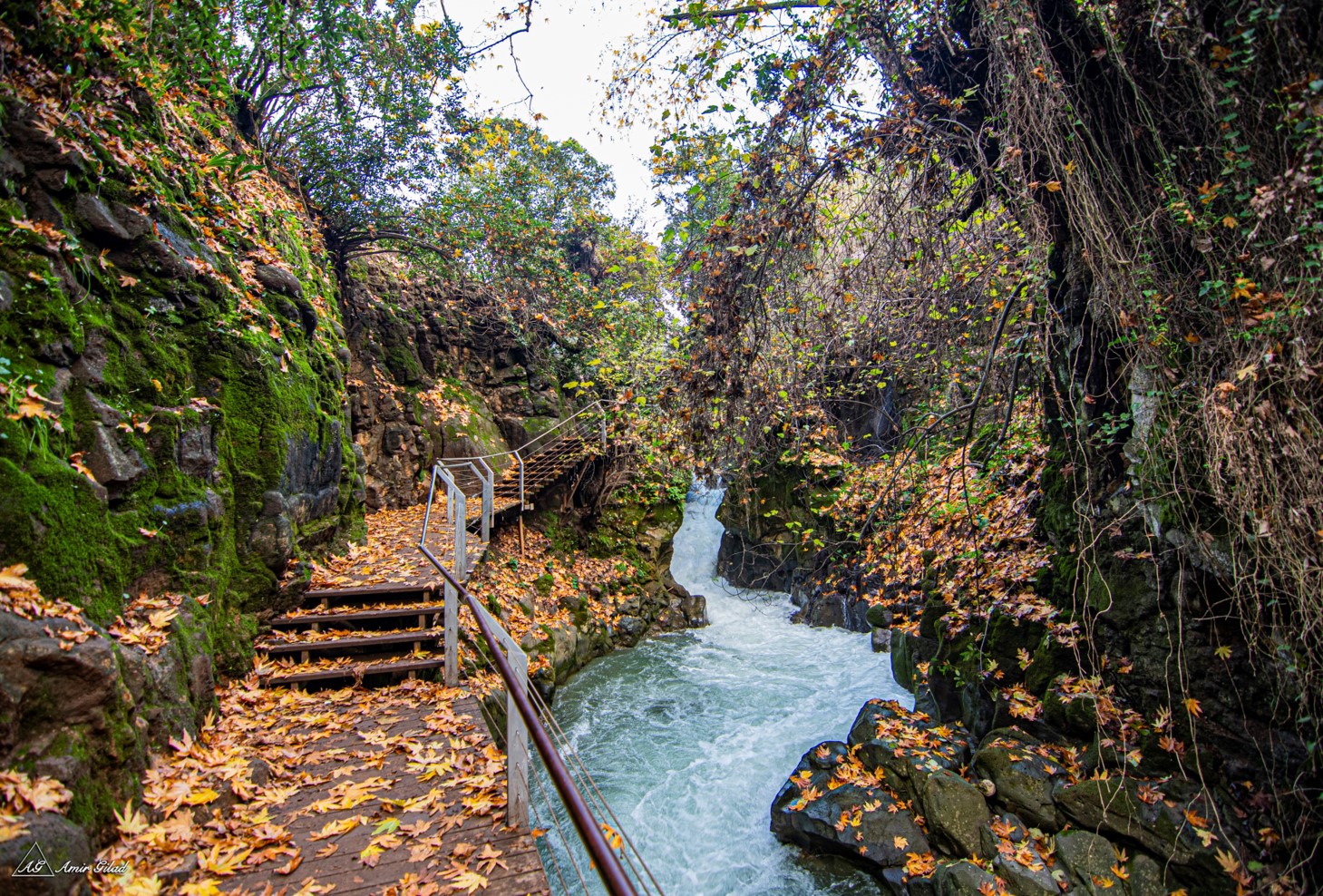 THe hanged path and winding Banias