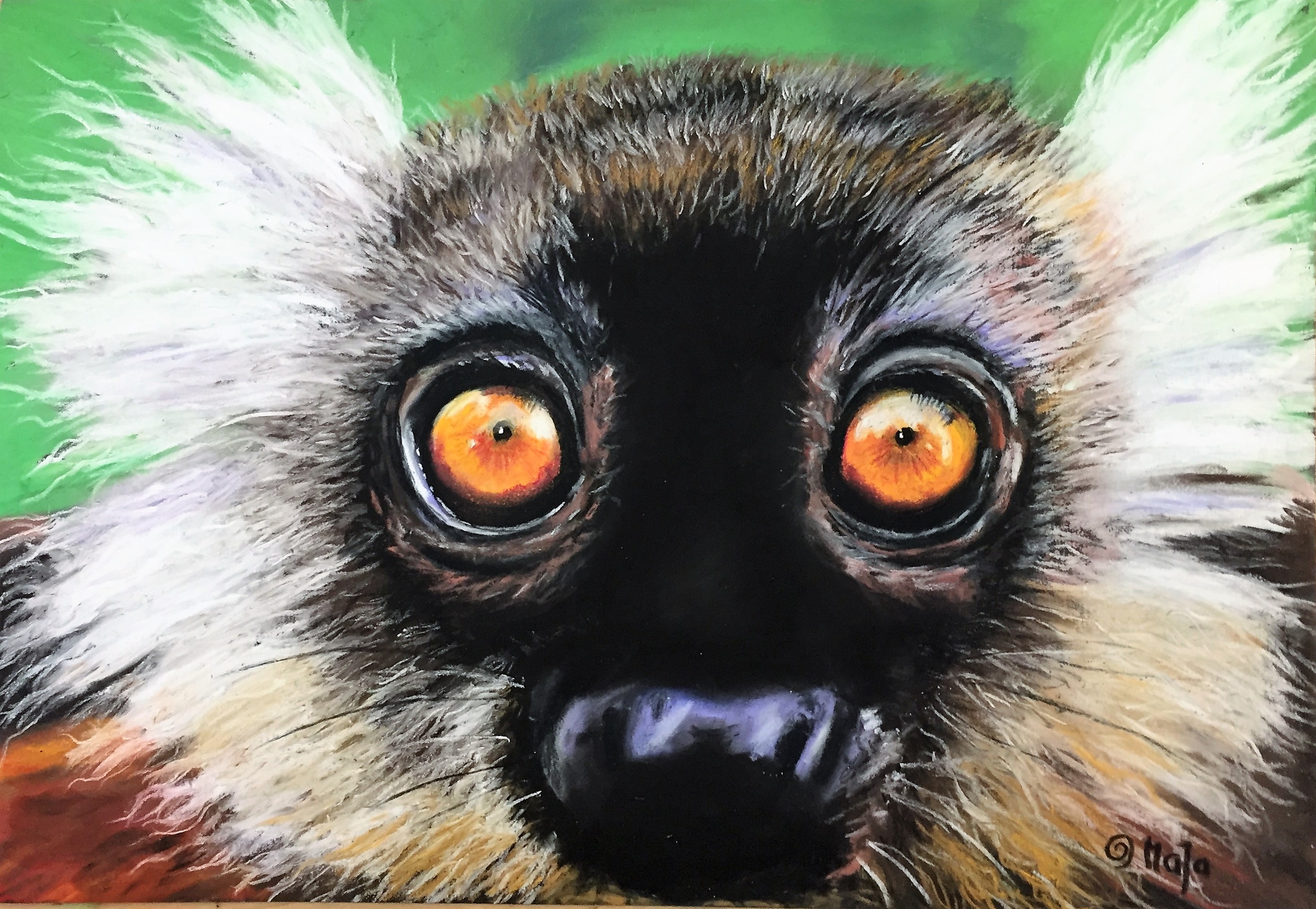 Lemur Pastell, 30x20 cm